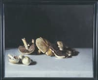 Mushrooms