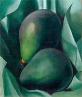 Alligator Pears