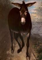 A Sicilian Ass