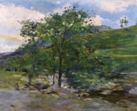 Small Valley in the Fountainebleau Forest