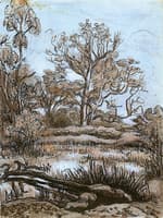The Fairy Pond