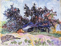 Fallen Tree