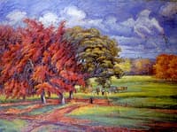 Purple Beeches of Allonville
