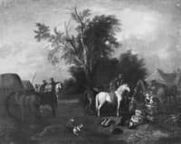 Camping Scene