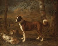 Dog and a Birch Log