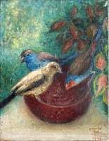 Three Garden Birds on a Red Bowl