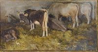 Cows