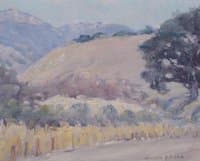 Spring Flowers, Carmel Valley