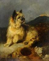 A Terrier by a Rabbit Hole