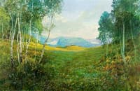 In the mountains of Tesserete