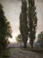 Lombardy Poplars