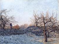 Frost