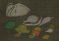 Still Life with Shells