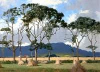 Harvest Fields, Sperrins