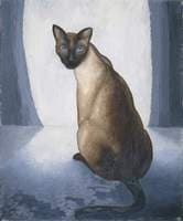 Portrait of a Cat