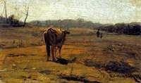 A Cow in a Meadow
