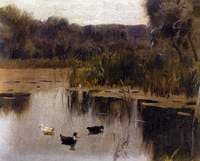 The Pond
