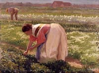 trabajando en el campo