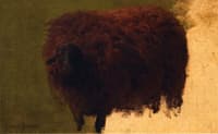 Large Wooly Sheep