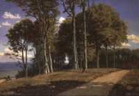 Paisaje Boscoso