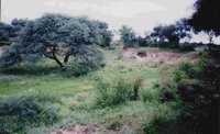 paisaje