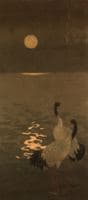 Cisnes