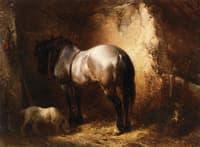 A Horse in a Stable