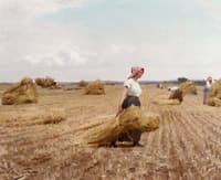 Harvest