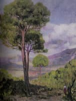 Paisaje con arbol