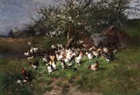 Spring, Chickens under Flowering Apple Trees