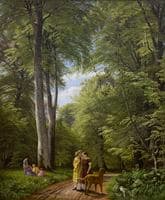 Beech Forest in May