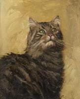 Study of a Cat for 'Teasing'