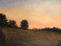 Evening Landscape