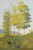 Trees on the Ridge