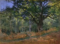 The Bodmer Oak, Fontainebleau