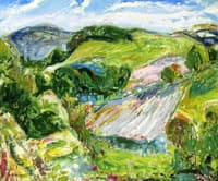 Fields