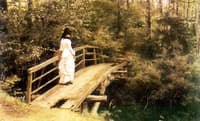Summer Landscape