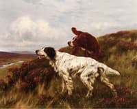 Two Setters