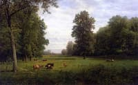Cows in a Pasture
