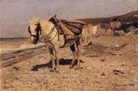 A Horse, Veules