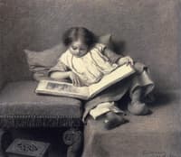 The Picture Book