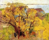 Willows
