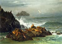 Seal Rocks, Pacific Ocean, California