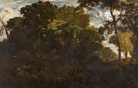 The Forest of Clairbois