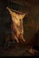 Carcass of an Ox