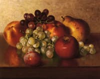Still LIfe with Fruit