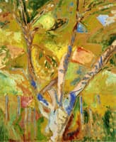 Landscape of Provence