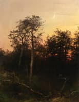 Florida Sunset