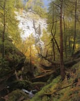 In the Woods