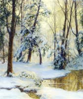 Woodland Pool